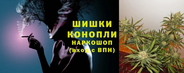 PSILOCYBIN Туринск