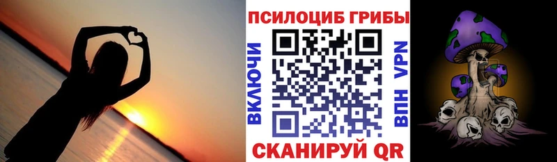 Галлюциногенные грибы Psilocybine cubensis  Сольвычегодск 