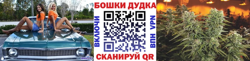 Канабис гибрид  Сольвычегодск 